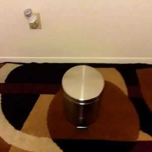 Small Stainless steel trashcan...new